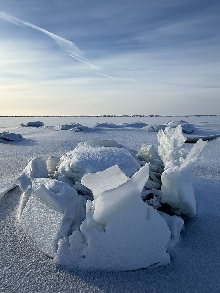 Photograph by Бондаренко Светлана