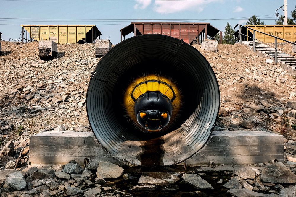 Photograph by Галина Искандарова