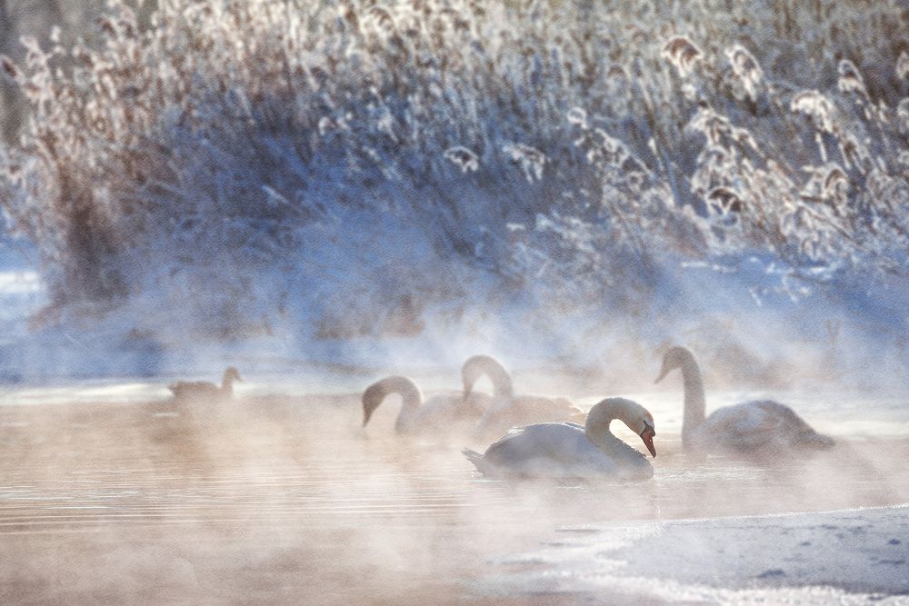 Фотография автора Дмитрий