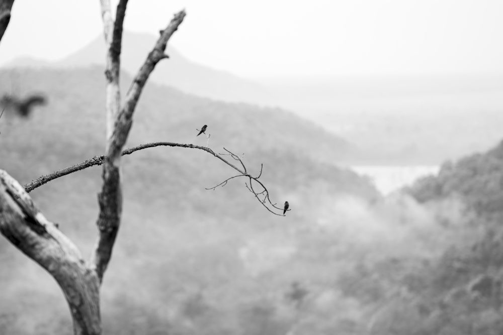 Фотография автора Glorius Delima