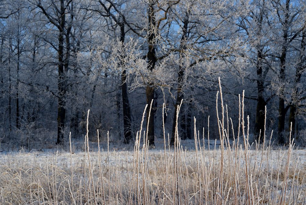 Photograph by Чиндяйкина Елена