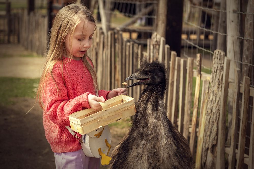 Photograph by Aлена Канхар