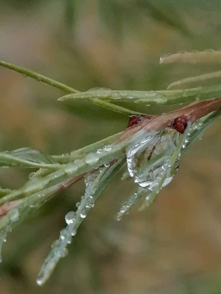 Photograph by Наталья Буталова