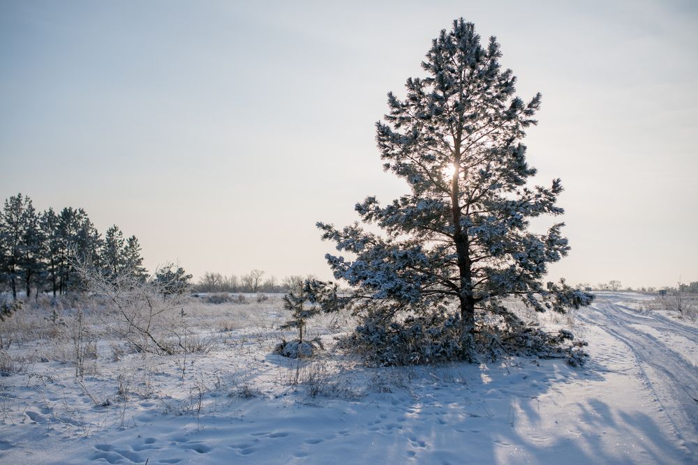 Фотография автора Луцук Мария
