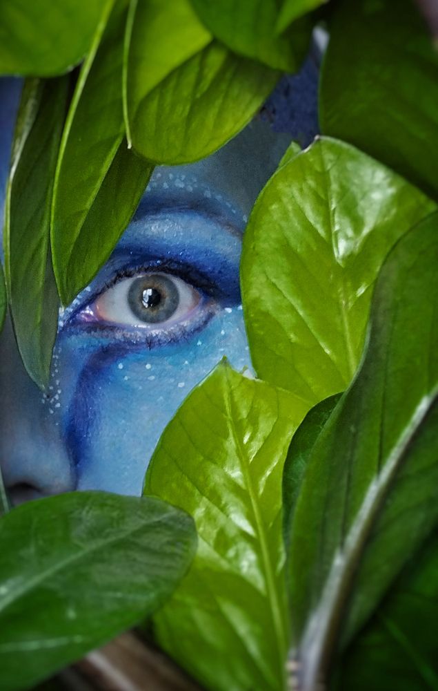 Тайна в зелёных объятиях