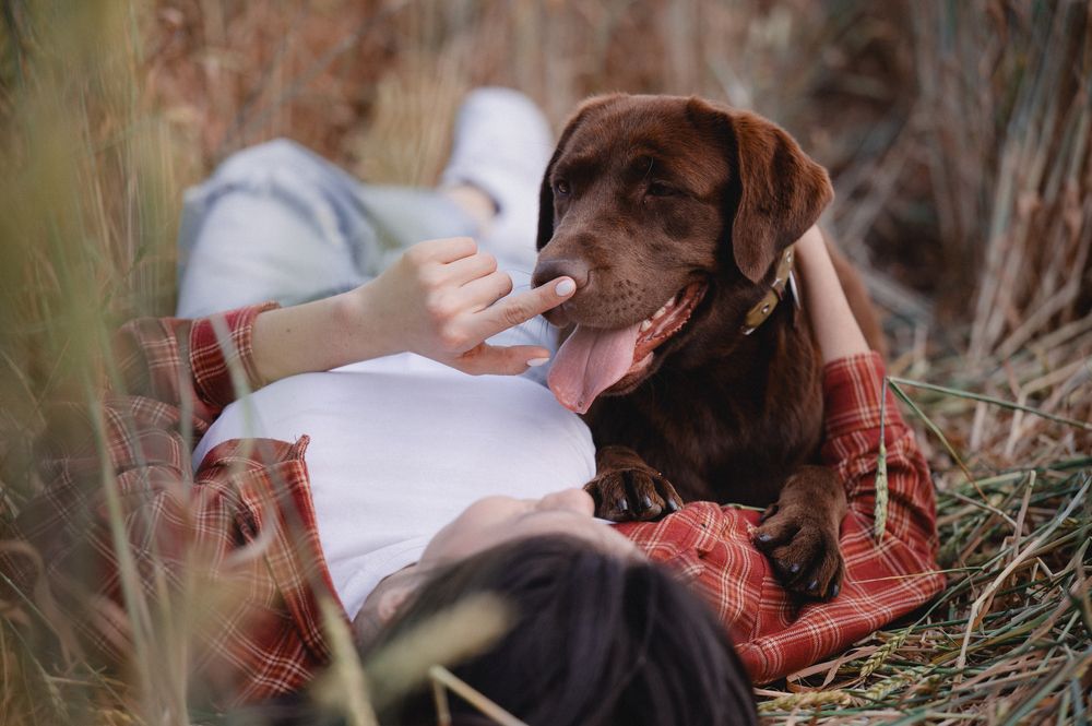 Photograph by Марина Чеботарева