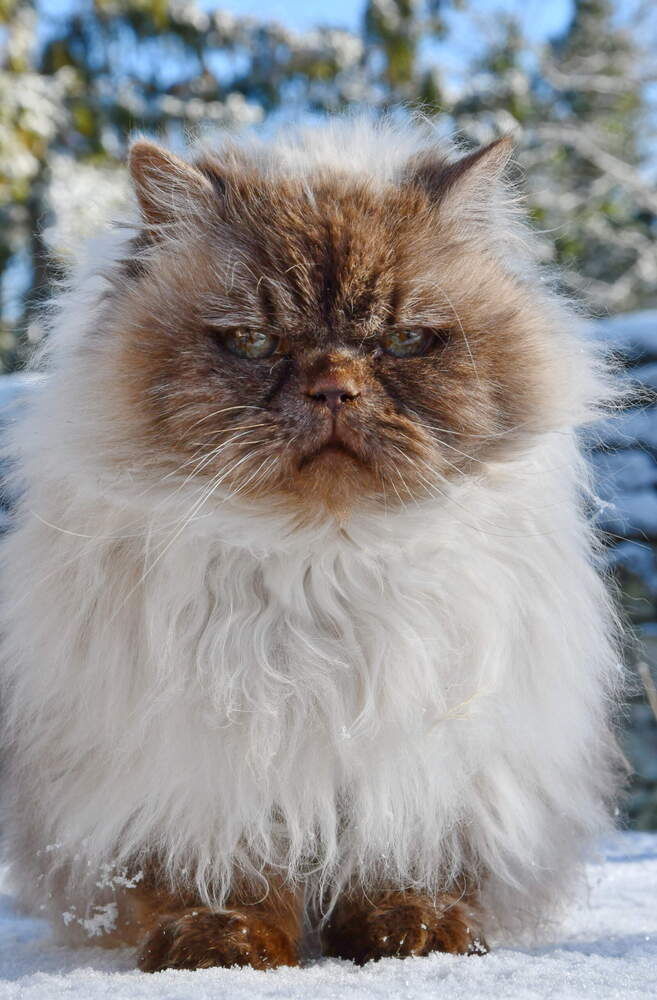 Photograph by Regina Belomytseva-Dahan