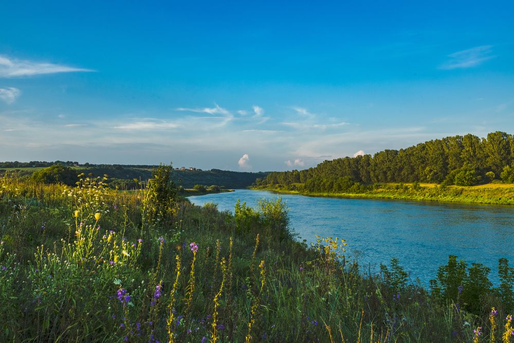 Photograph by Михаил Лапшин