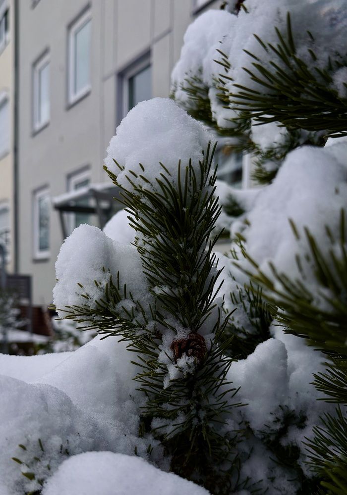 Фотография автора Alena T