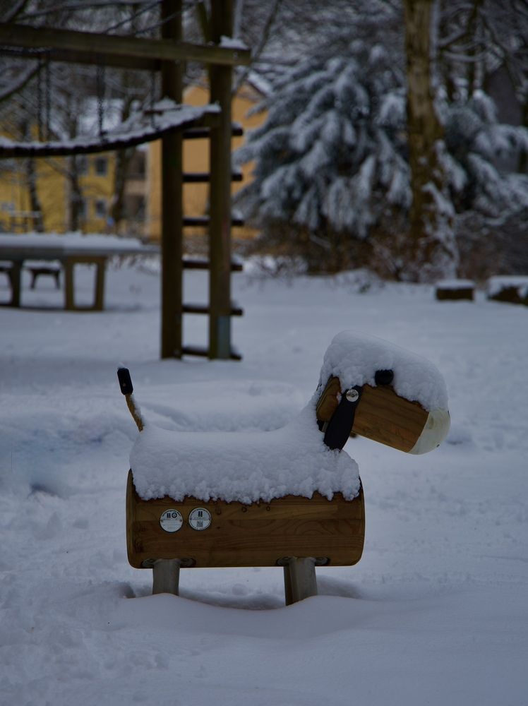 Фотография автора Alena T