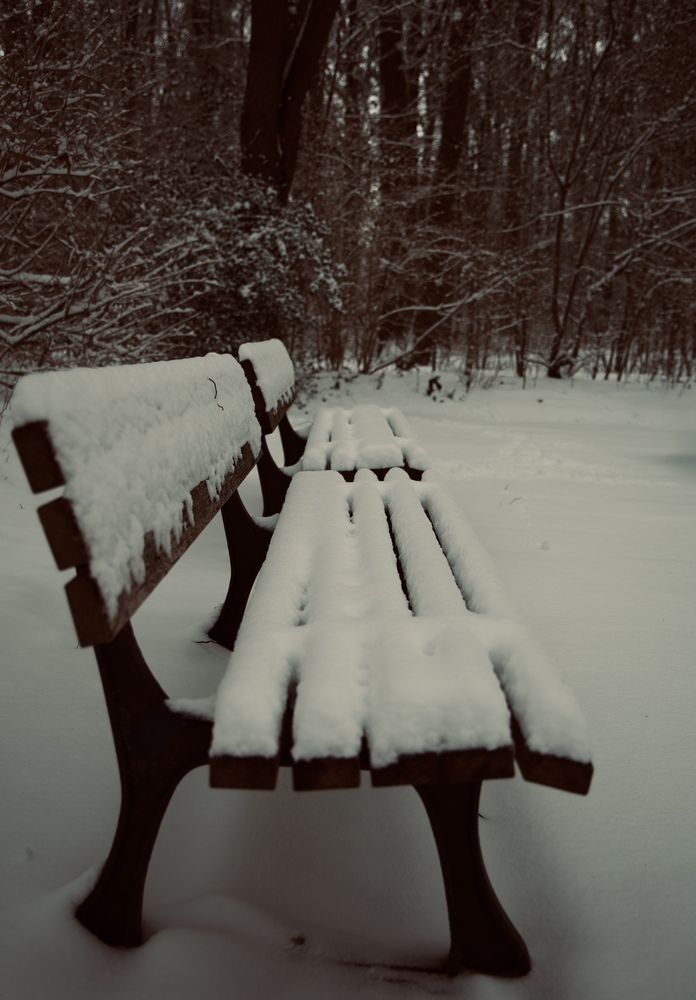 Фотография автора Alena T