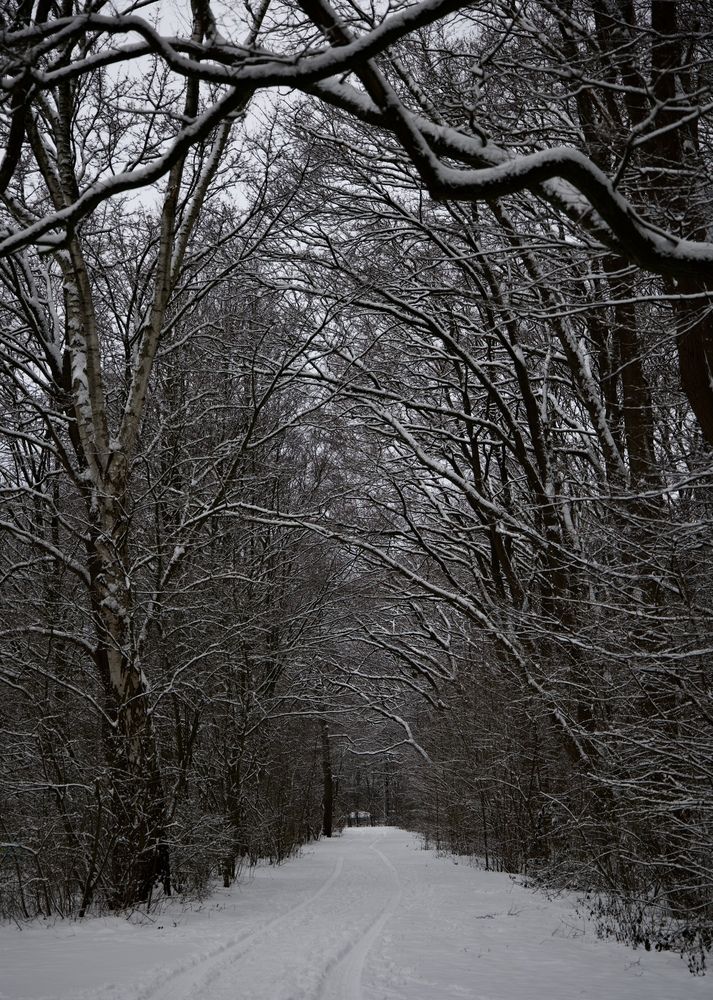 Фотография автора Alena T