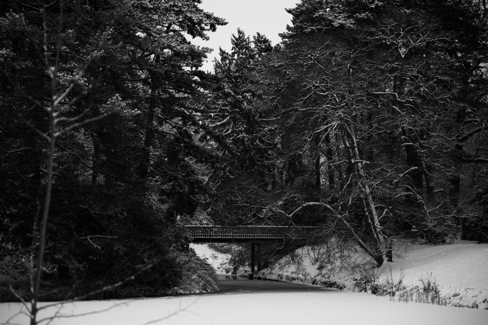 Фотография автора Alena T