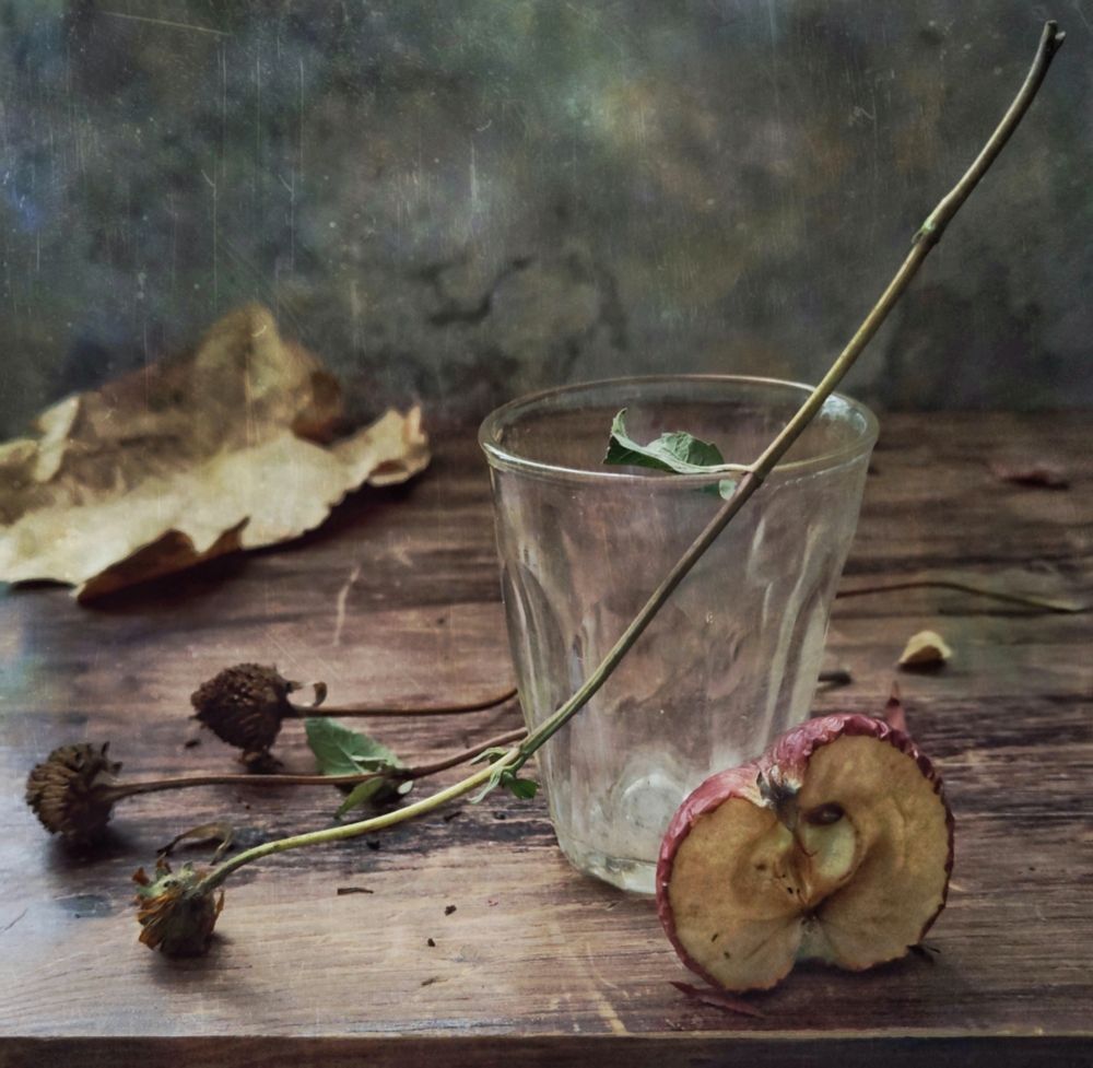 Photograph by Ирина Курмалеева