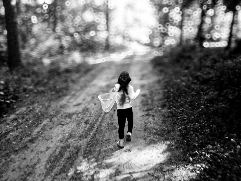 Chasing the Light
