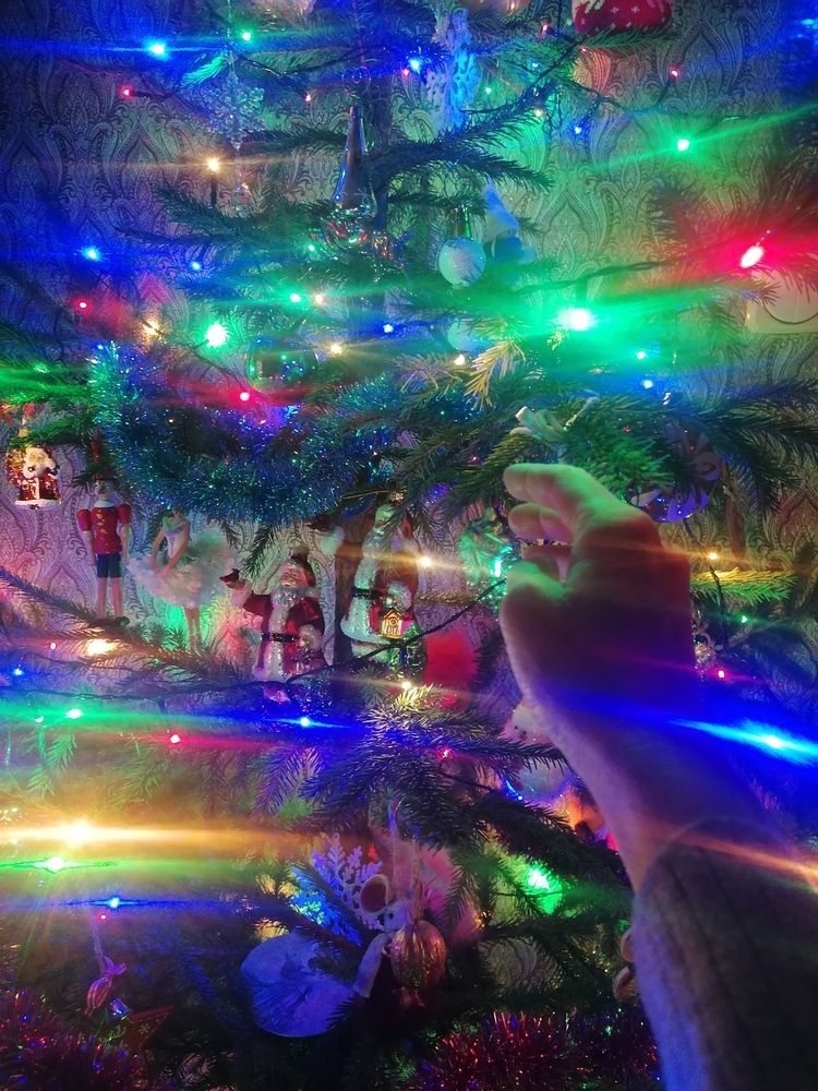 Фотография автора Галина Пылаева