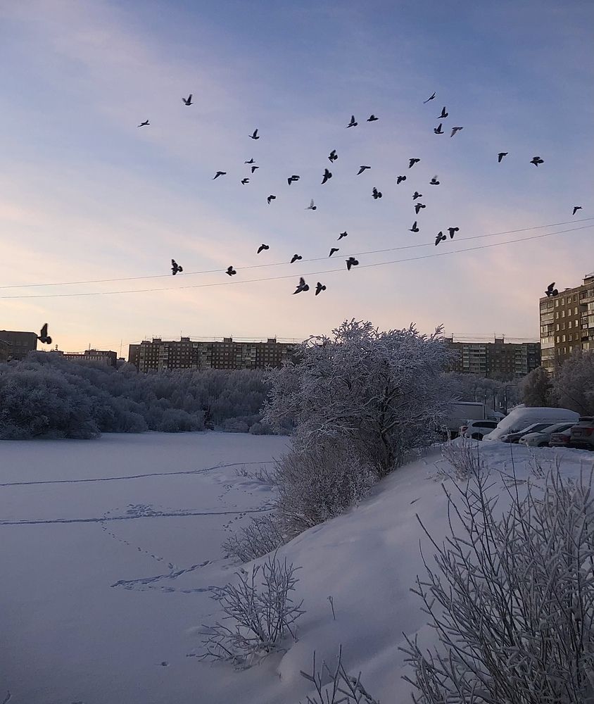 Фотография автора Светлана Терехова