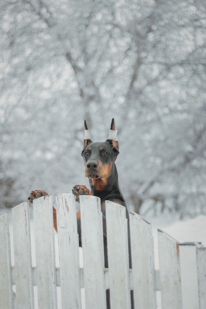 Photograph by Мария Кирия