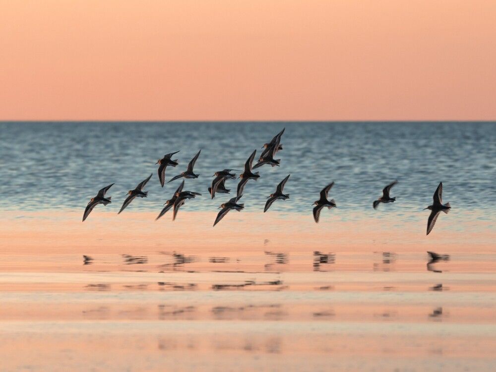 Photograph by Eduard Zhuravlev