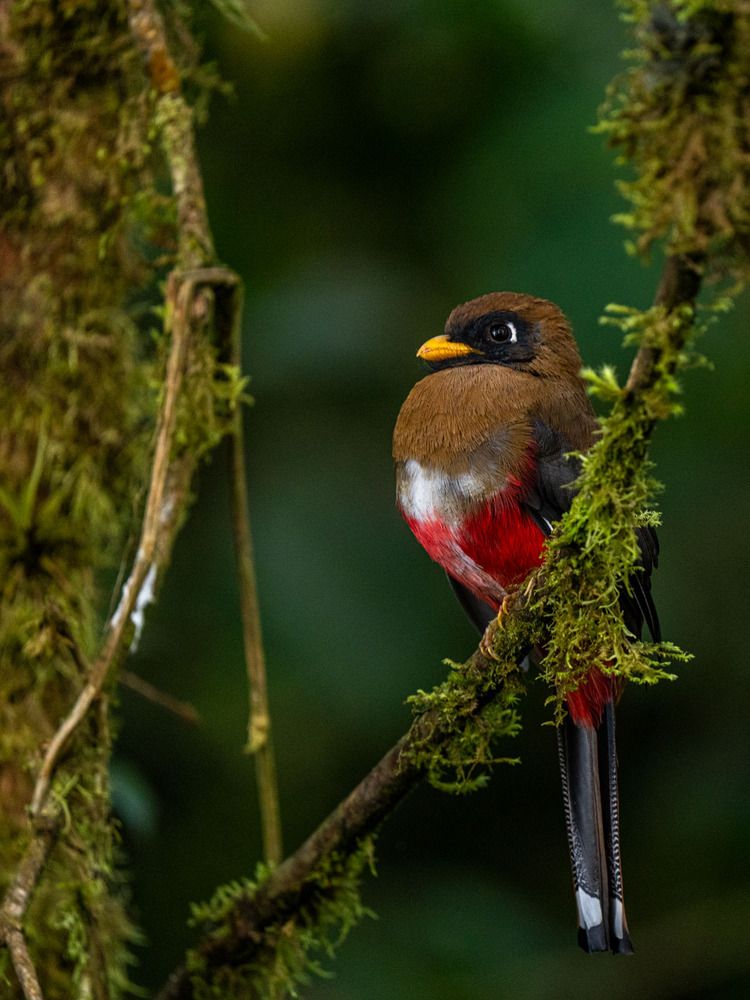 Photograph by Julia A Caesar