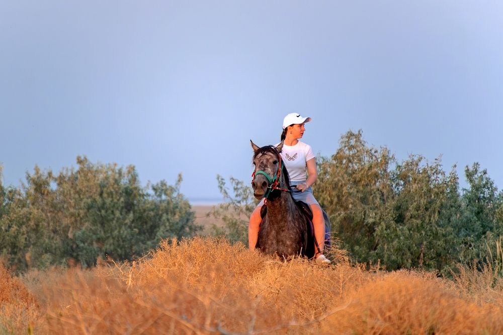 Photograph by Михаил Косолапов