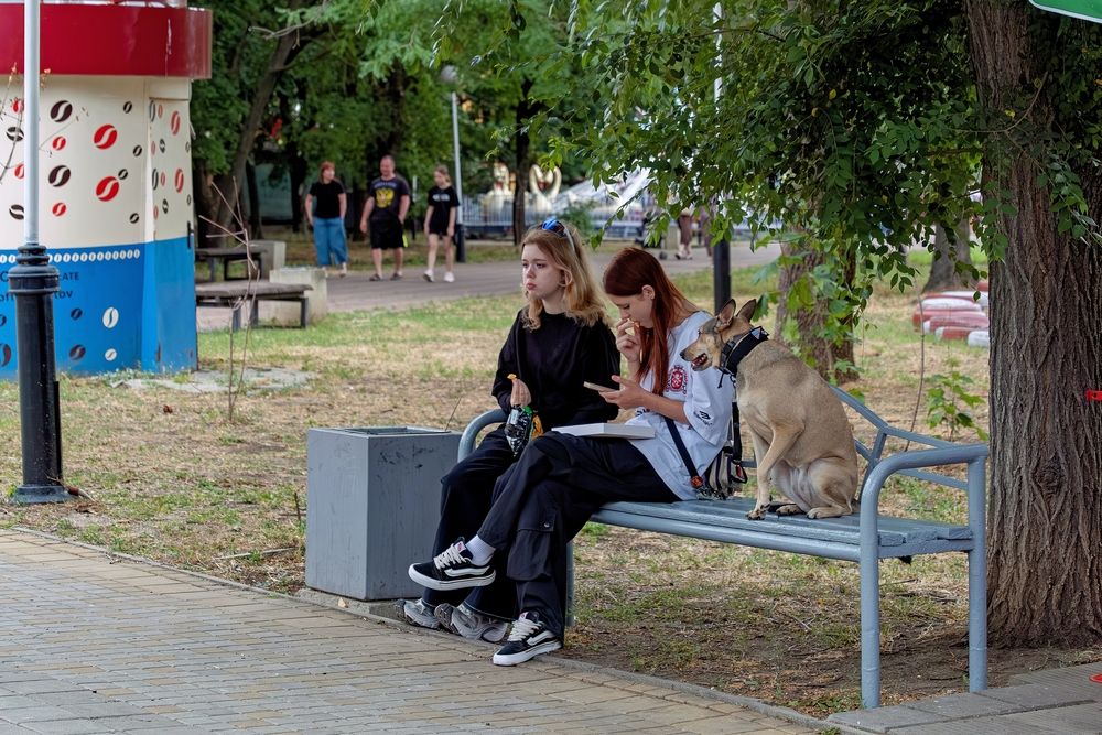 Photograph by Михаил Косолапов