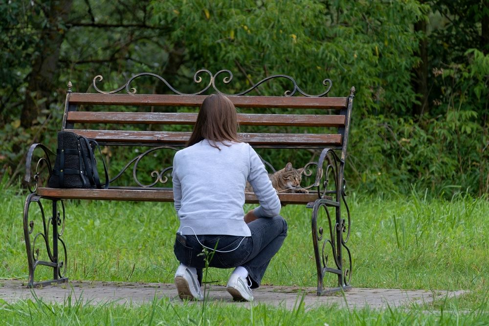 Photograph by Михаил Косолапов