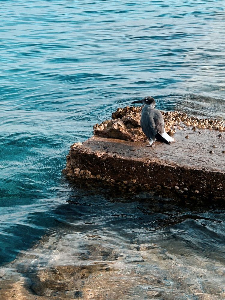 Photograph by Татьяна Герман
