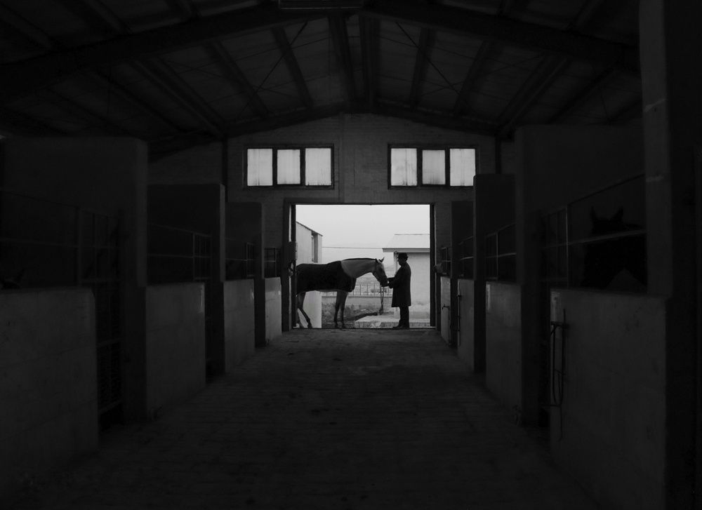 Photograph by Arezoo Arianpour