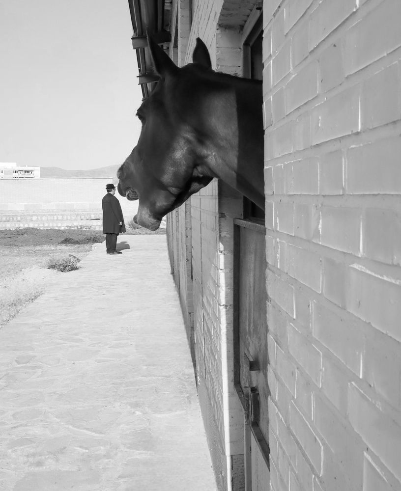 Photograph by Arezoo Arianpour