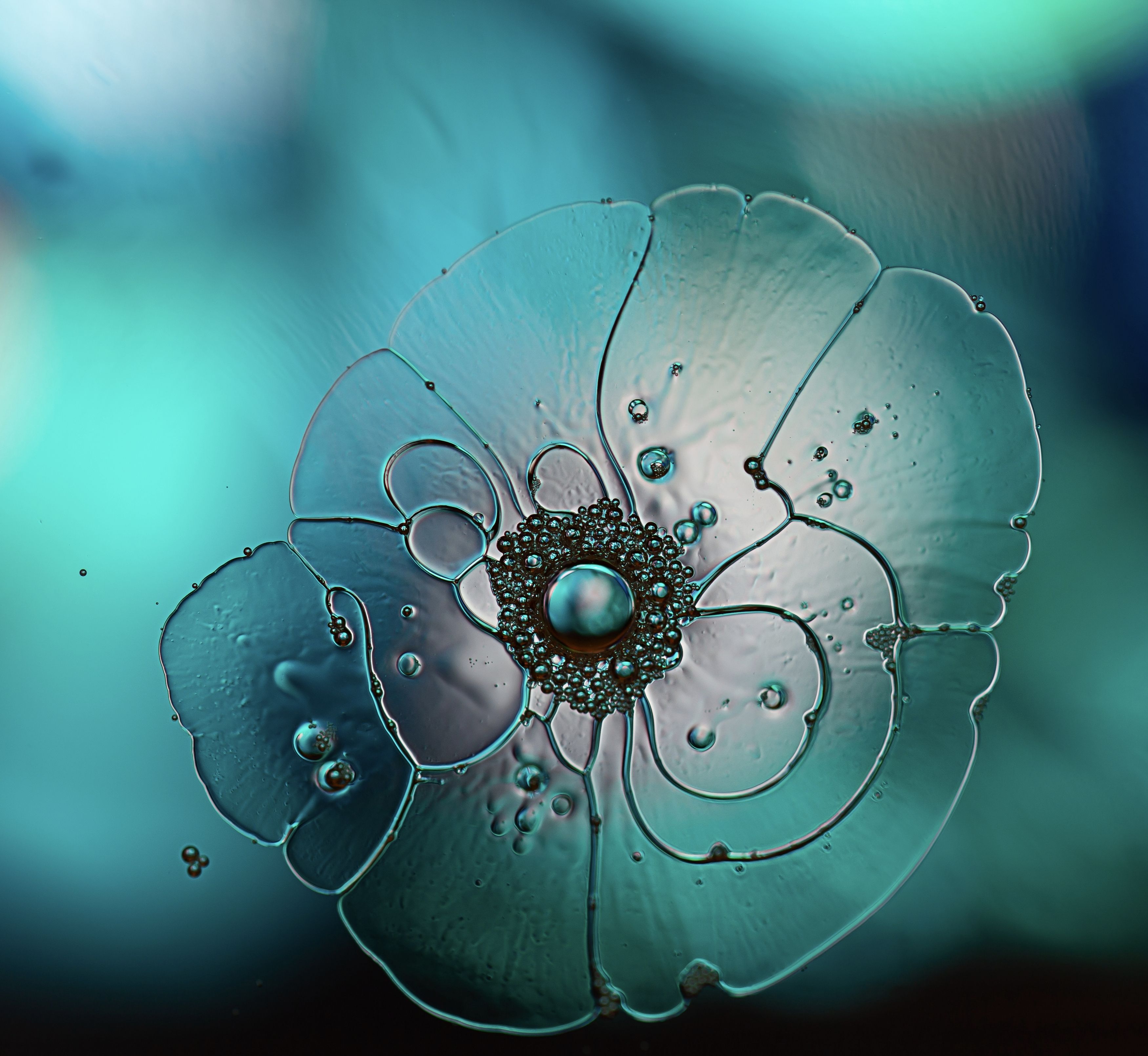 Метаморфозы