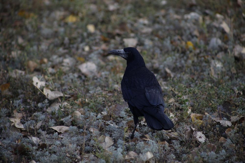 Photograph by Иван Левин