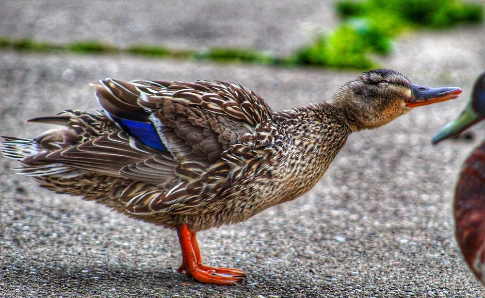 Photograph by Sarah guthrie