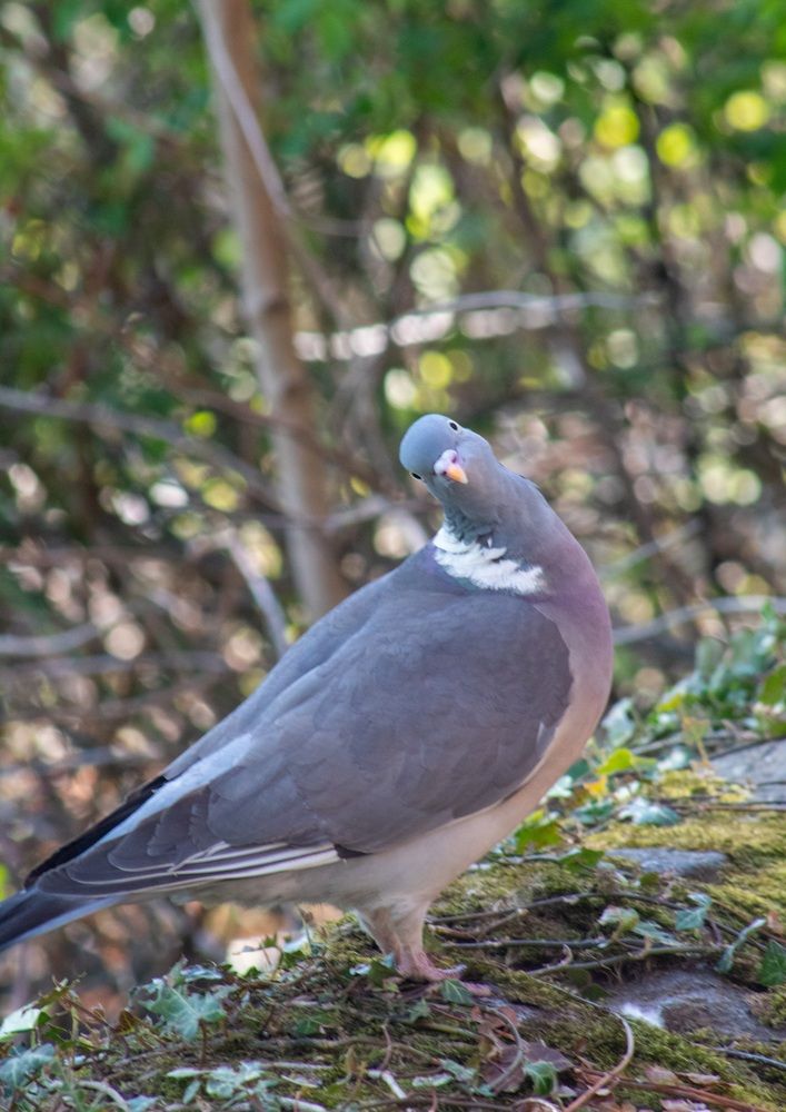 Photograph by Sarah guthrie