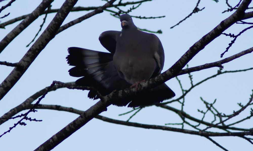 Photograph by Sarah guthrie