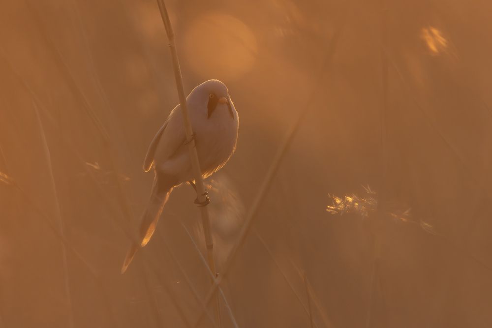 Photograph by Максим Федосеев