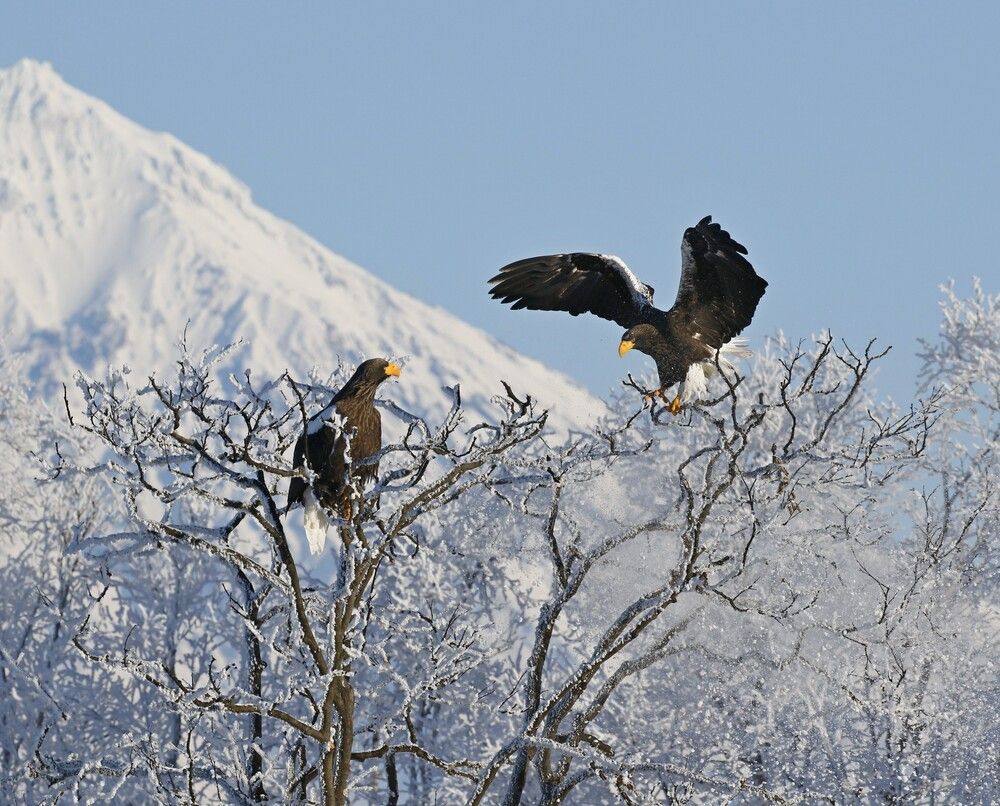 Photograph by Наталья Турчик