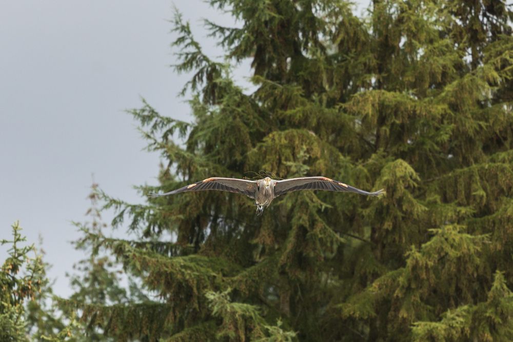 Фотография автора Евгений Цапенко
