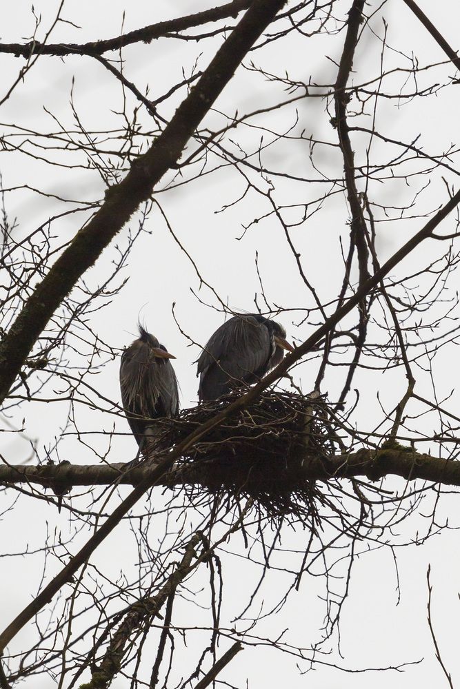 Фотография автора Евгений Цапенко