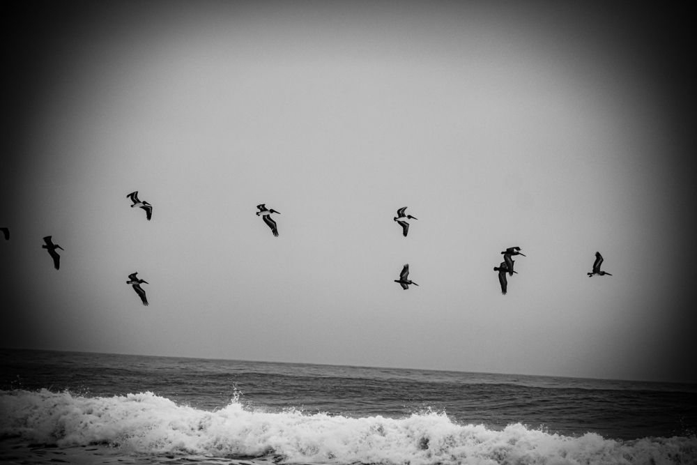 Фотография автора Mauricio Santiago Boulogne