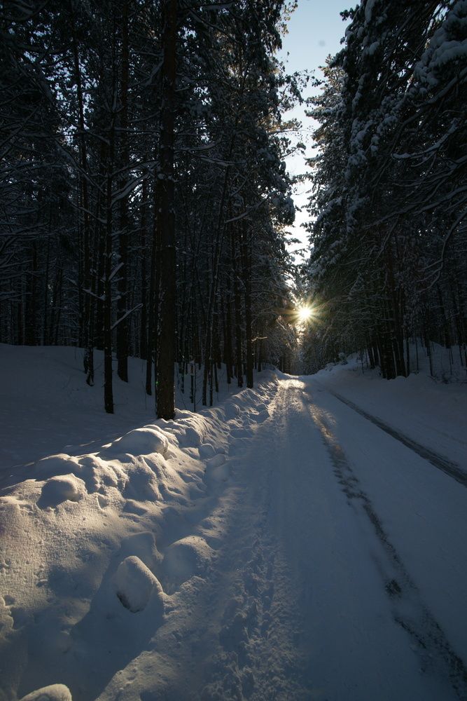 Photograph by Марина Лосева