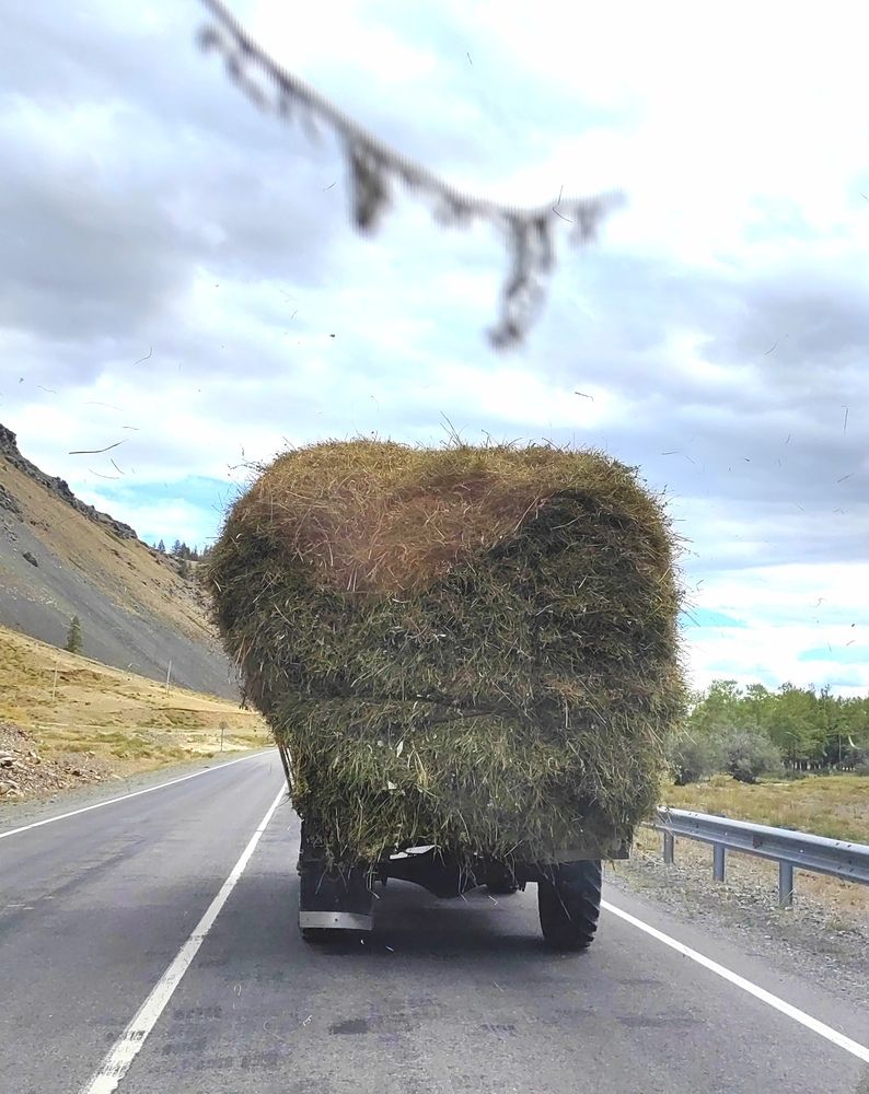 Photograph by Алёна С-К