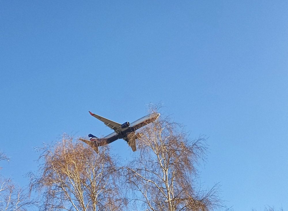 Photograph by Владимир Лапин