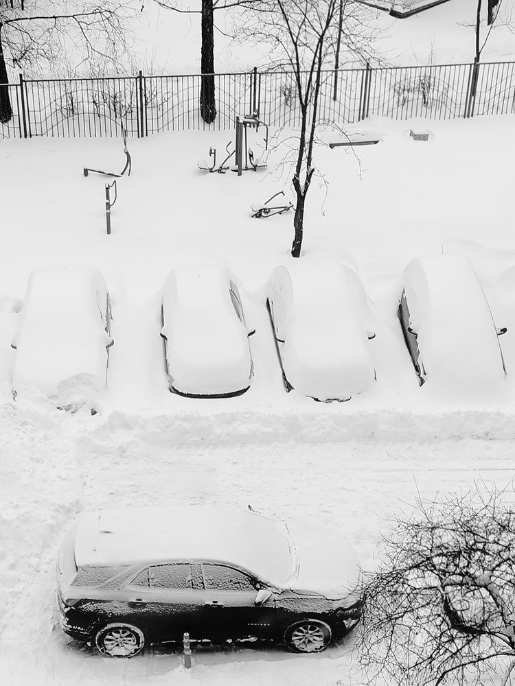 Фотография автора Наталья Драгун