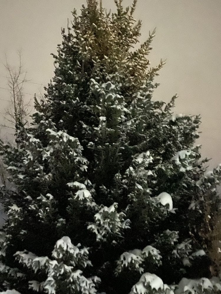 Фотография автора Оксана Фадеева