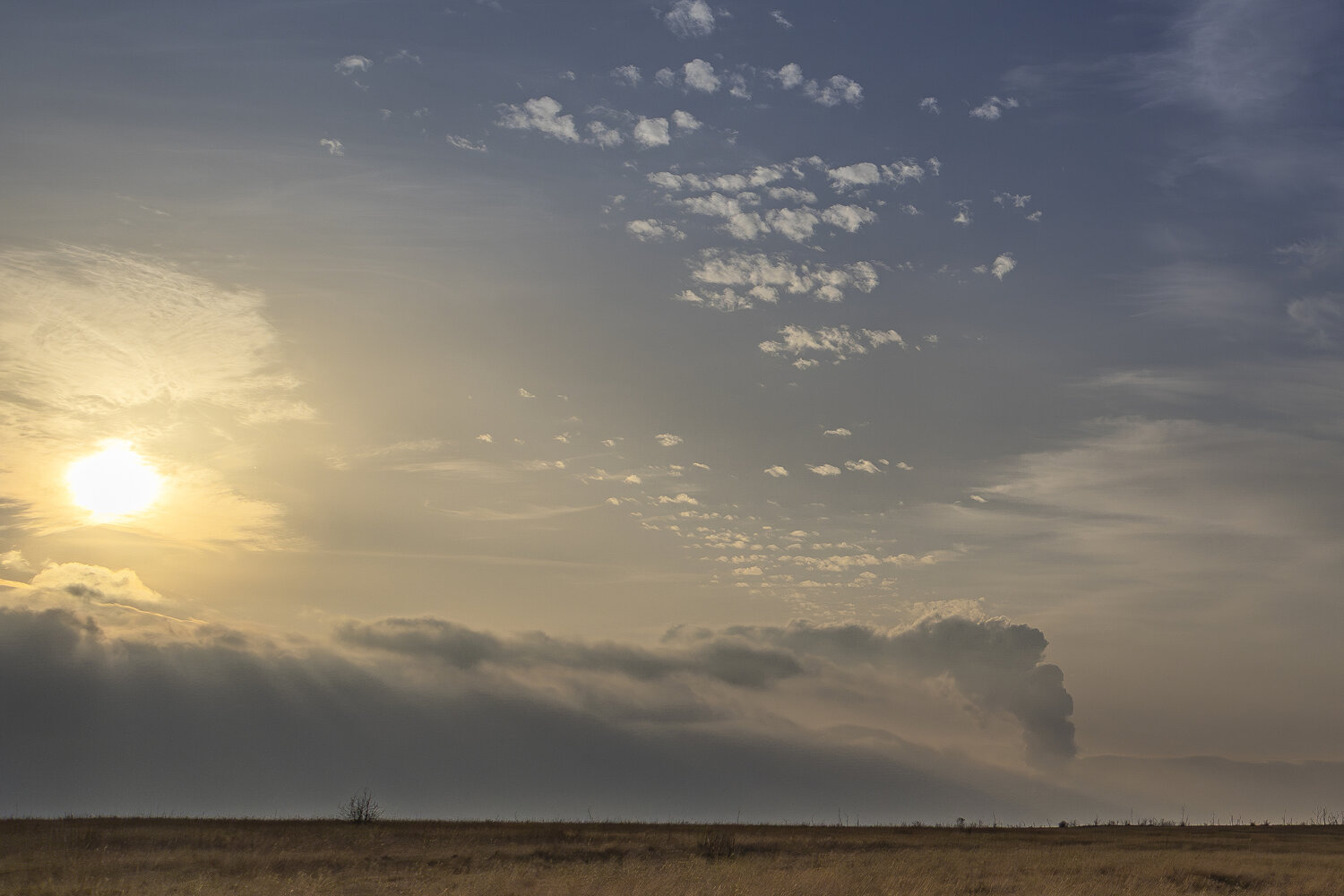 Photo #13149481