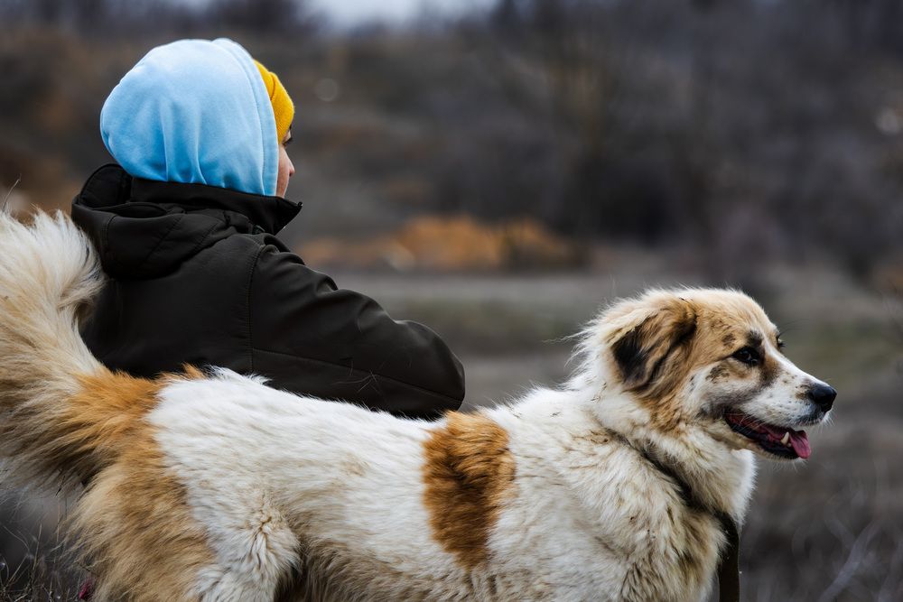 Photograph by Денис Лобов