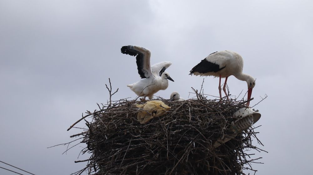 Photograph by Ириша Леконцева