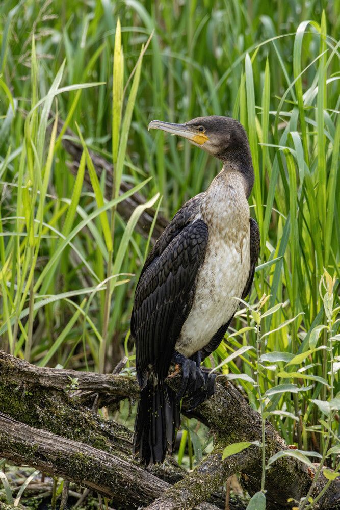 Photograph by Бурыкин Илья