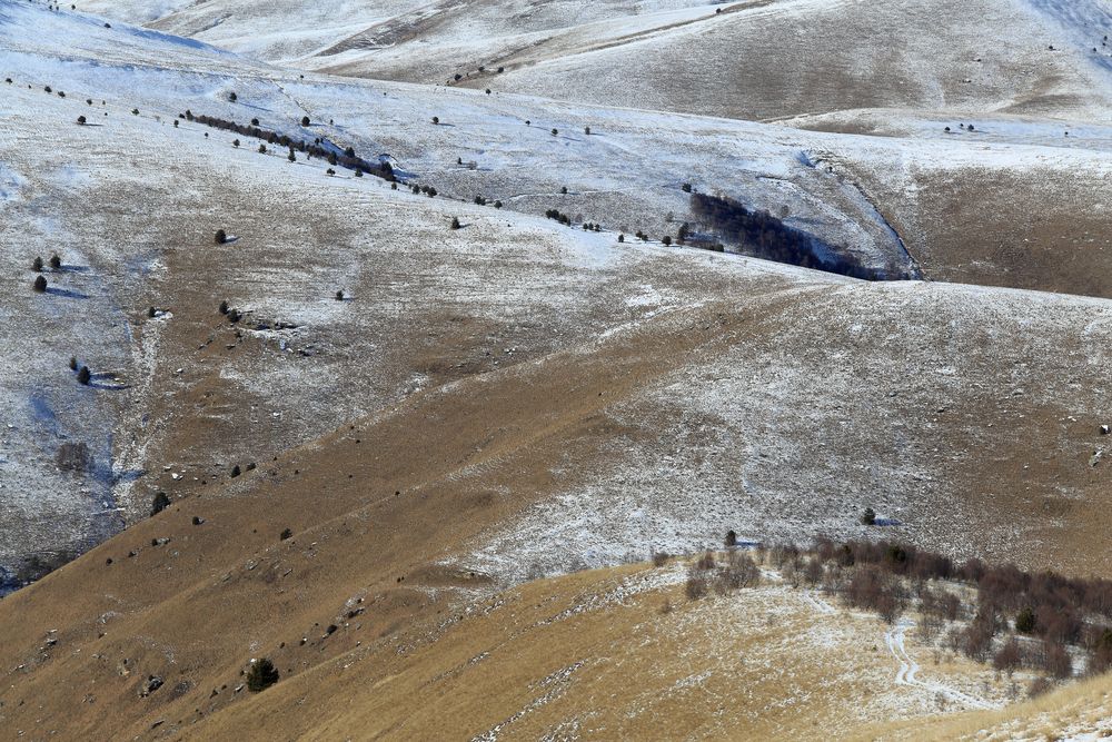 Фотография автора Илья Заикин